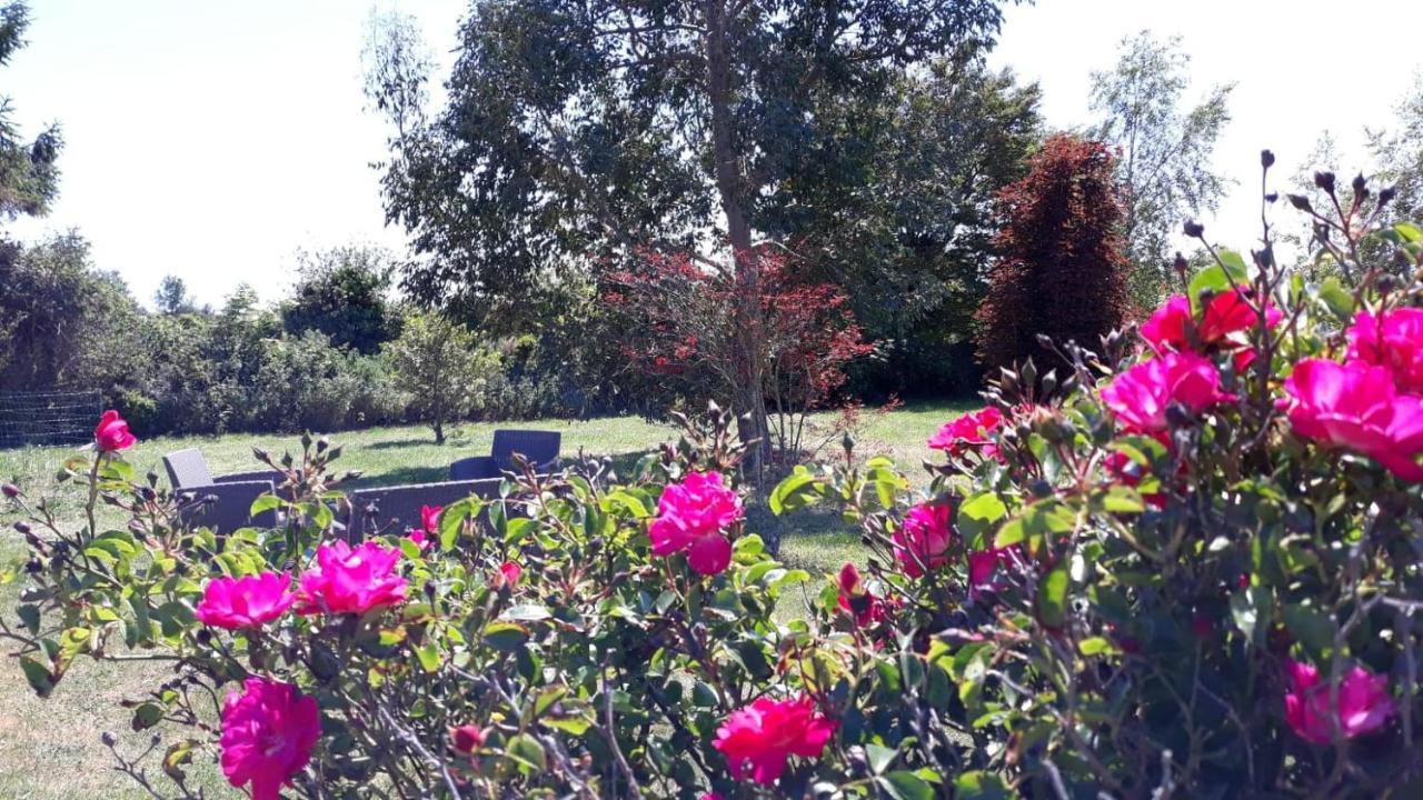 Auberge Aux Marais Montmartin-en-Graignes Esterno foto